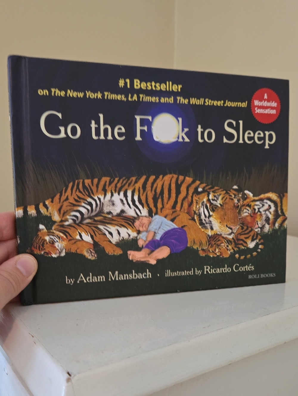 Go the F**k to Sleep - Dark Blue Cover Book